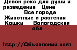 Девон рекс для души и разведения › Цена ­ 20 000 - Все города Животные и растения » Кошки   . Вологодская обл.